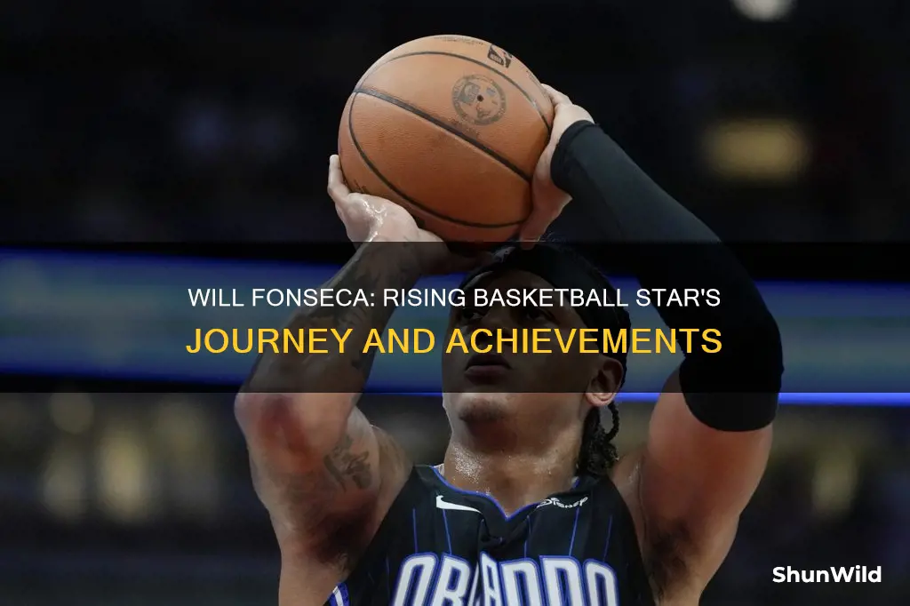 will fonseca basketball