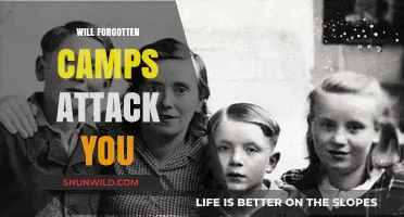 Unearthing Forgotten Camps: Debunking Myths and Confronting Fears