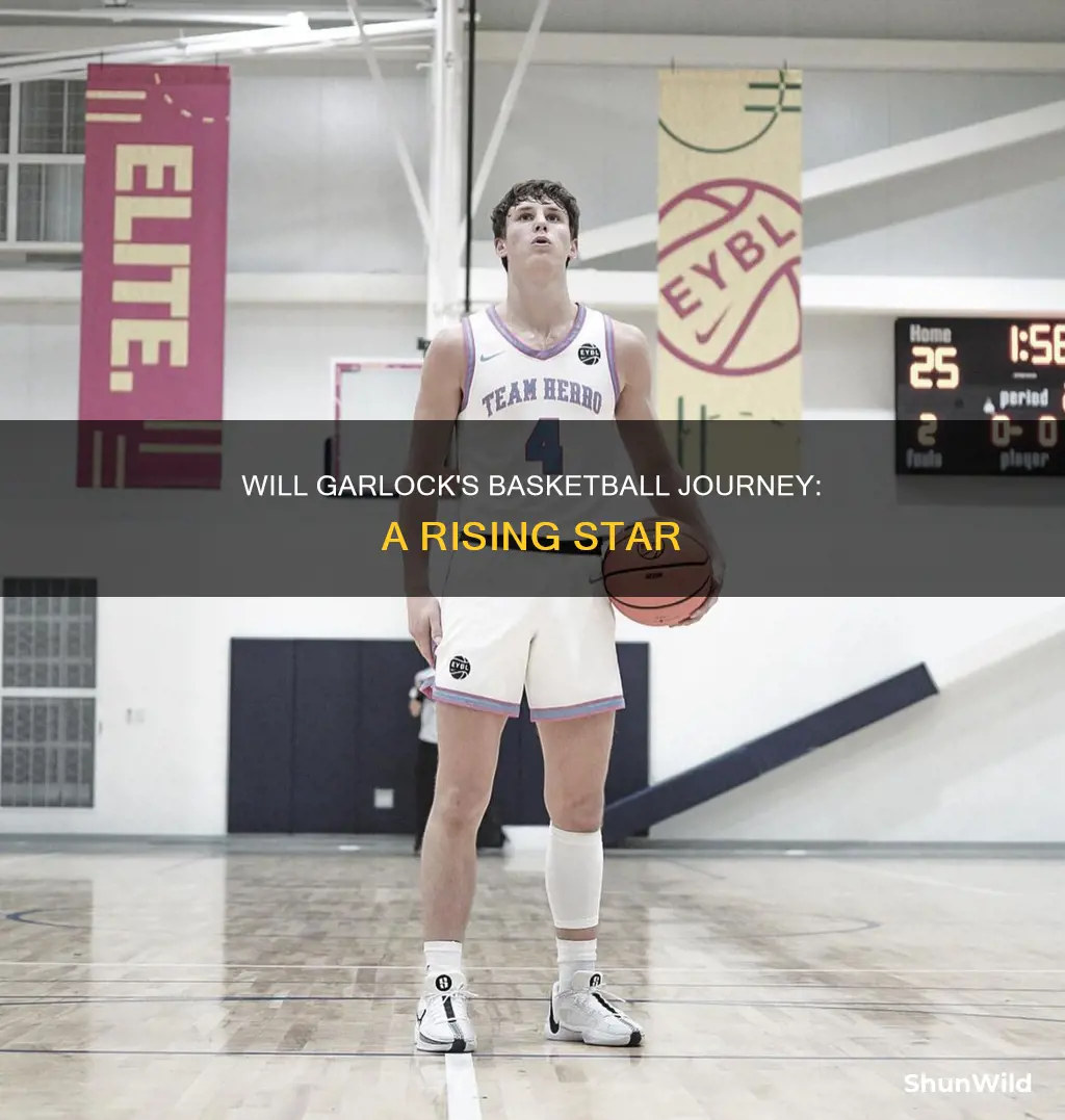will garlock basketball
