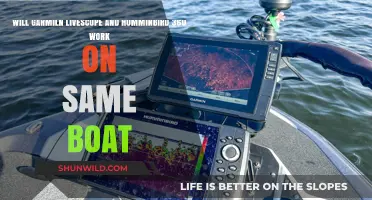 Garmiln LiveScope & Humminbird 360: Can They Coexist on Your Boat?