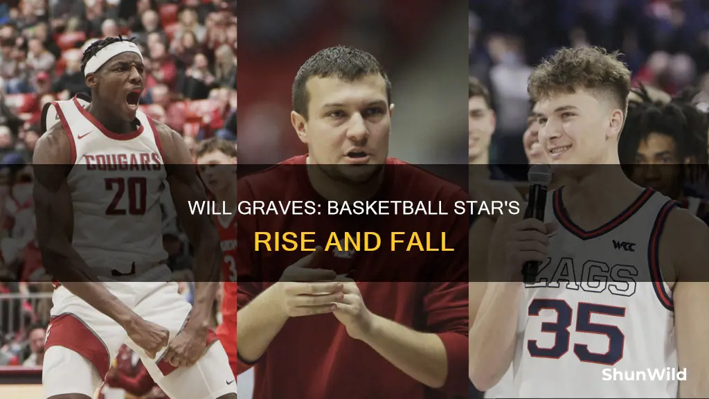 will graves basketball
