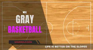 The Gray Basketball: A Sporty, Stylish Will