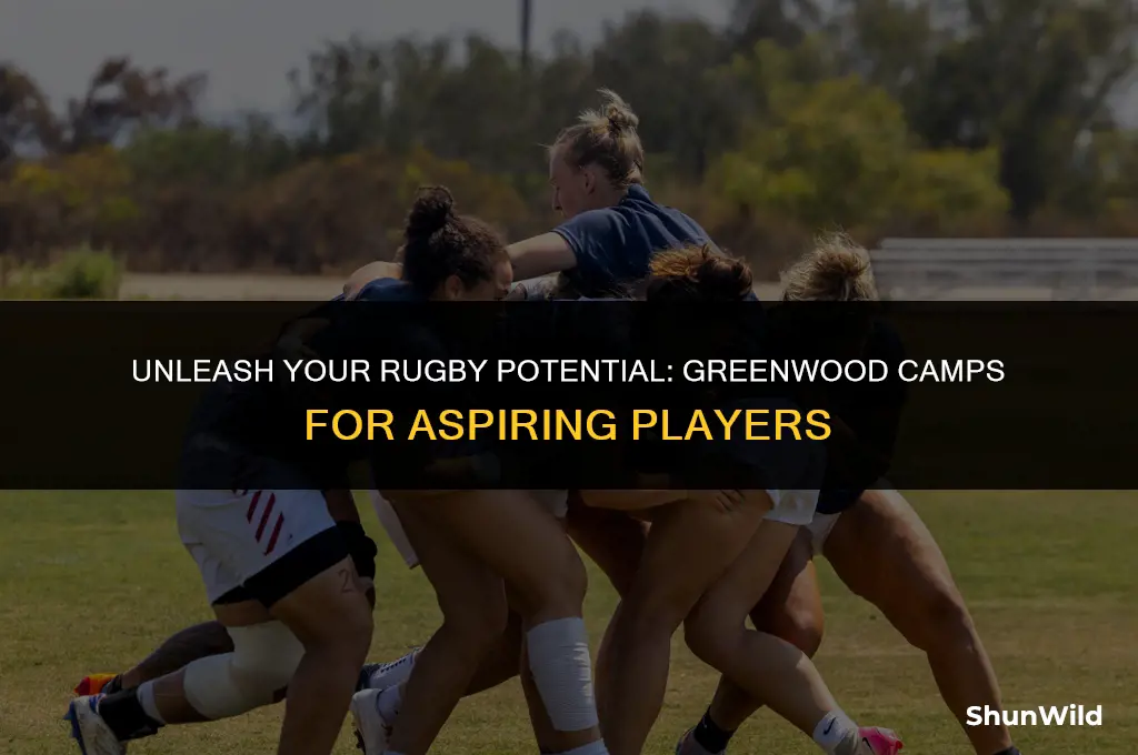 will greenwood rugby camps