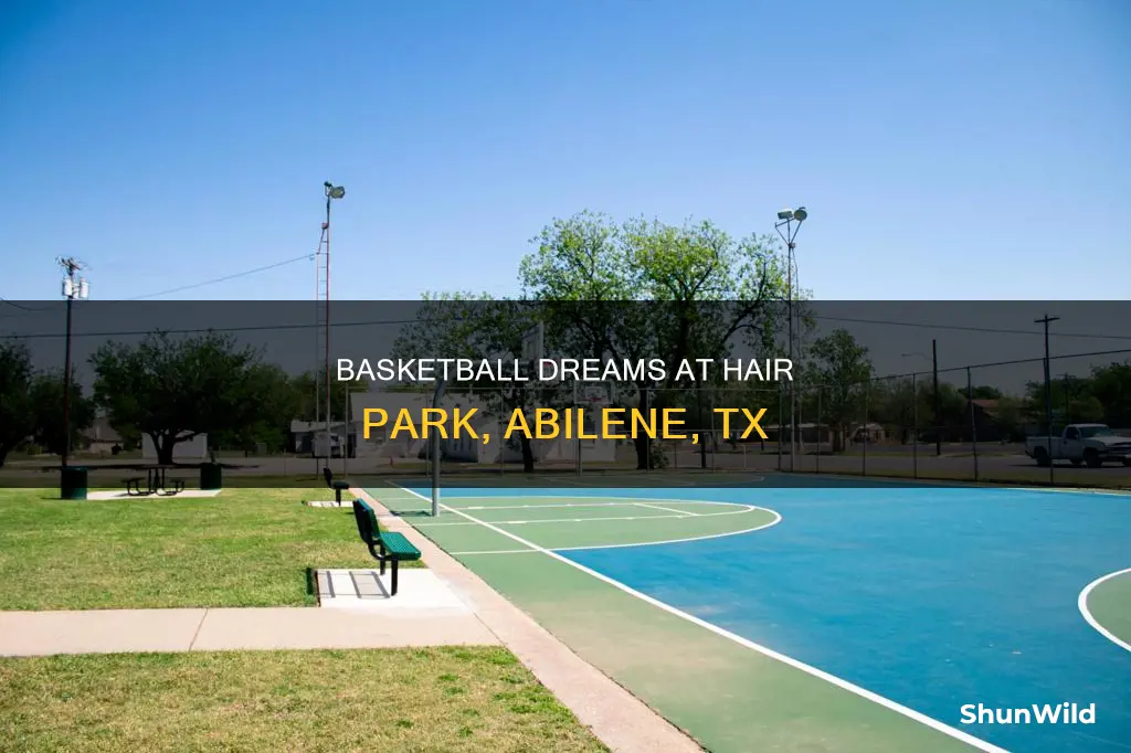 will hair park abilene tx basketball