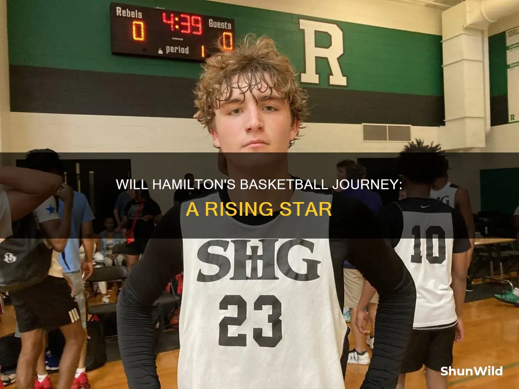 will hamilton basketball