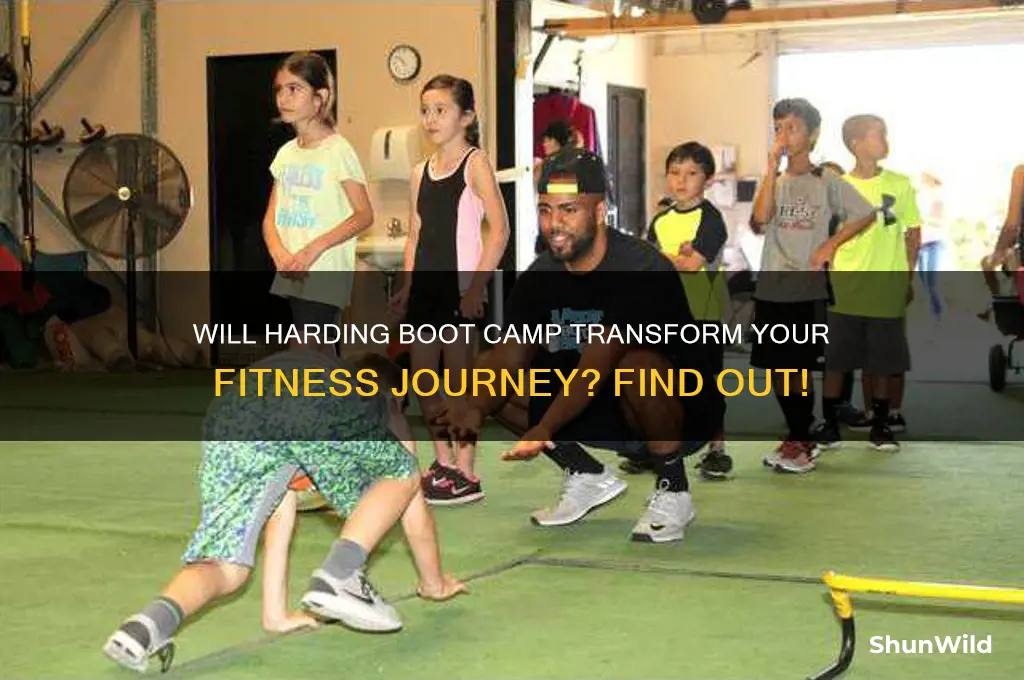 will harding boot camp