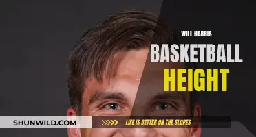 Harris' Height: A Basketball Advantage?