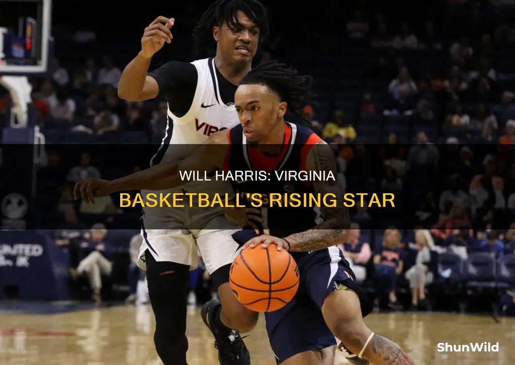 will harris virginia basketball