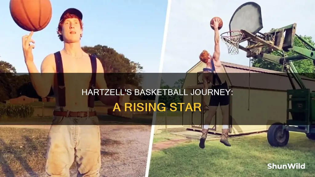 will hartzell basketball