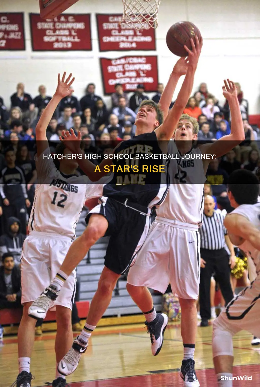 will hatcher basketball high school