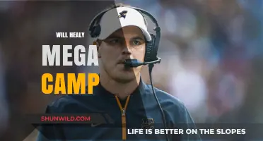 Will Healy Mega Camp: Uniting Music Lovers for an Unforgettable Experience