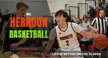 Herndon's Basketball Star: Will's Journey to the Top