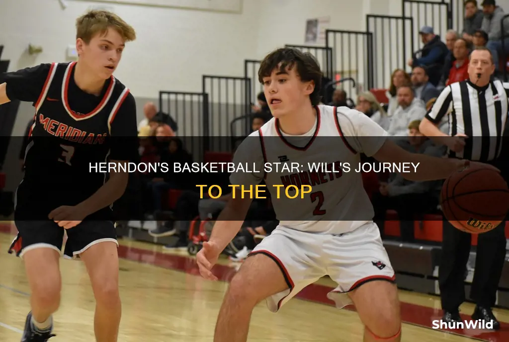 will herndon basketball
