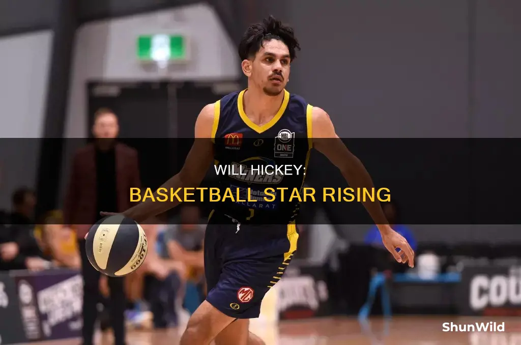 will hickey basketball