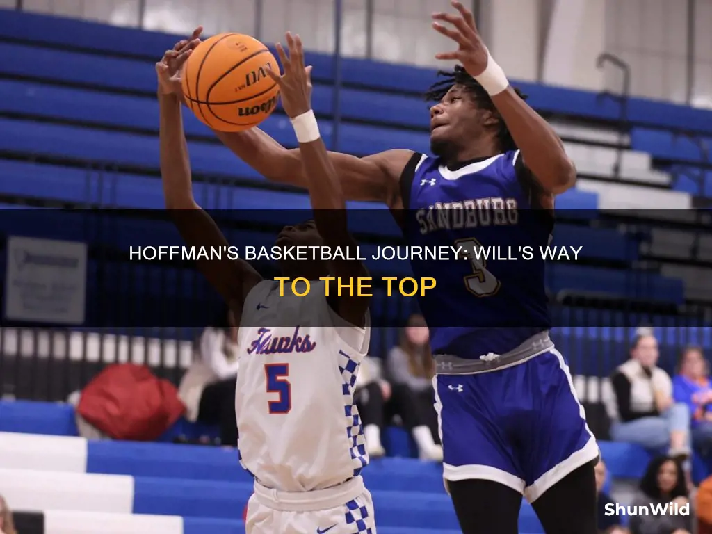 will hoffman basketball