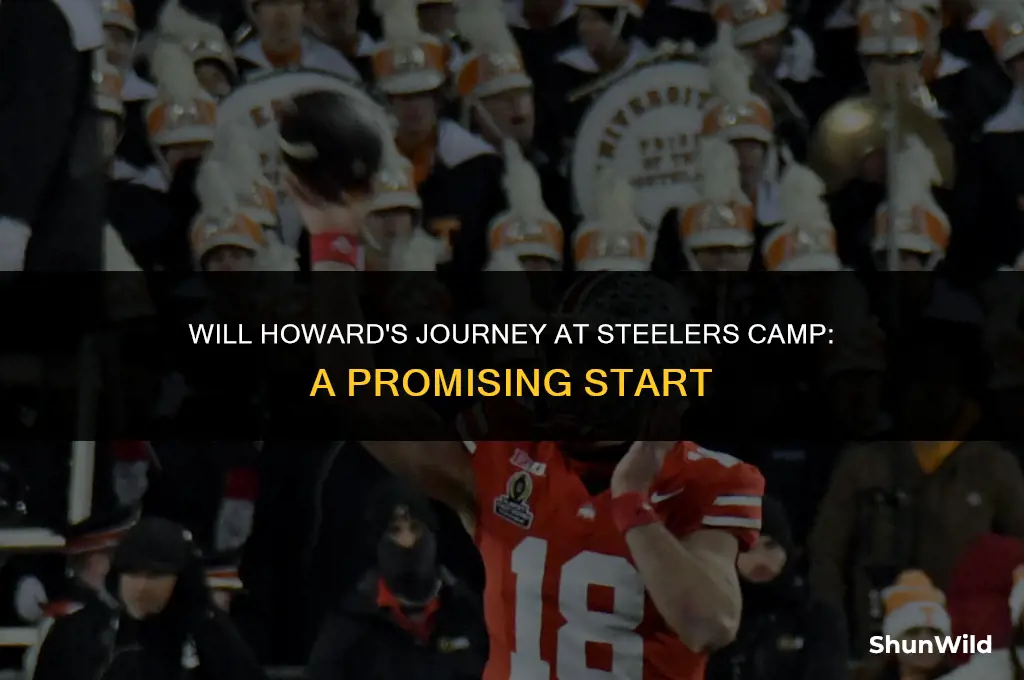 will howard steelers camp