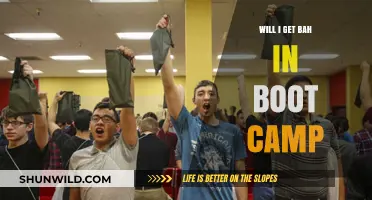 Will You Receive BAH During Boot Camp? Understanding Military Benefits