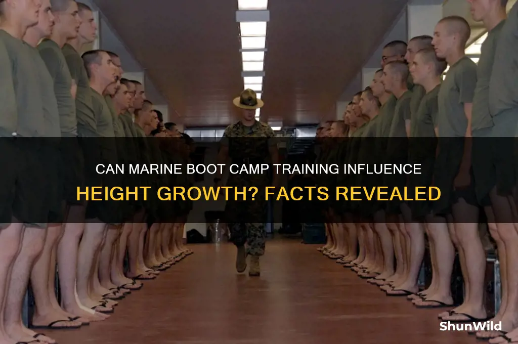 will i grow in height boot camp marines