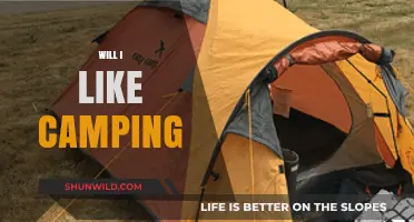 Discovering the Joys of Camping: A Beginner's Guide to Embracing the Outdoors