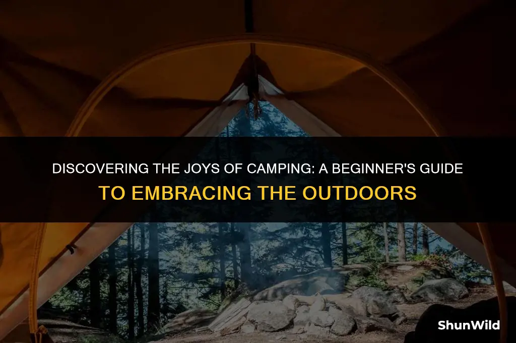 will i like camping