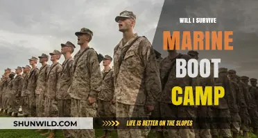 Surviving Marine Boot Camp: Tips, Mental Prep, and What to Expect