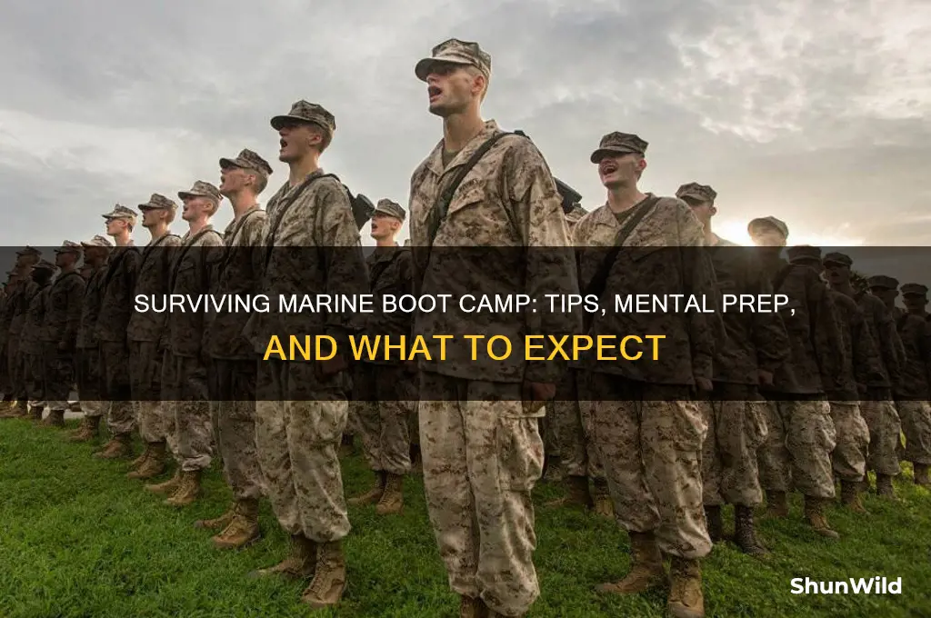 will i survive marine boot camp