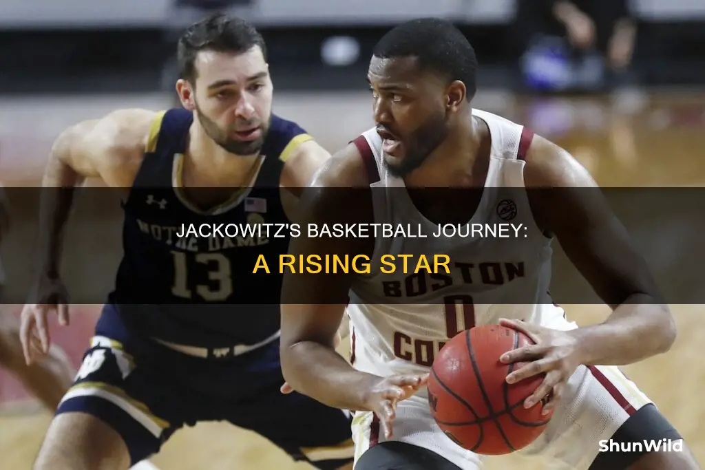 will jackowitz basketball