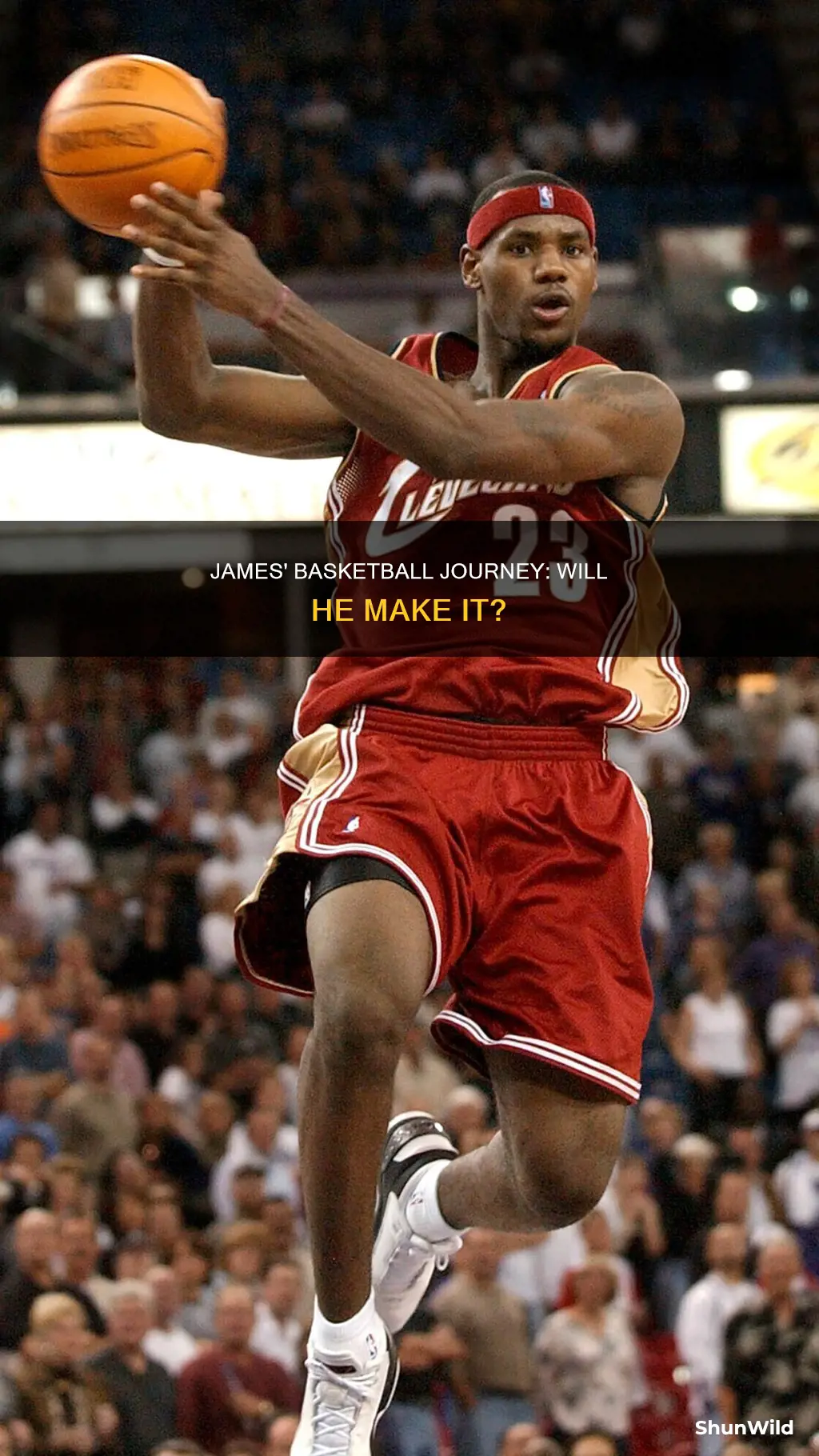 will james basketball