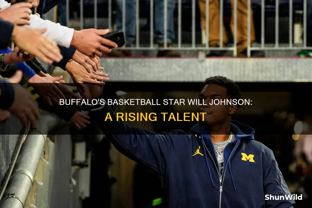 will johnson basketball buffalo ny