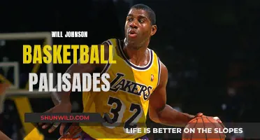 Johnson's Basketball Journey: Palisades to Pros