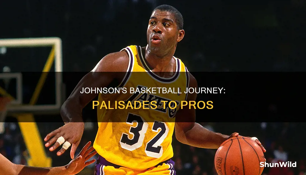will johnson basketball palisades