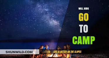 Summer Adventures Await: Will Kids Head to Camp This Year?
