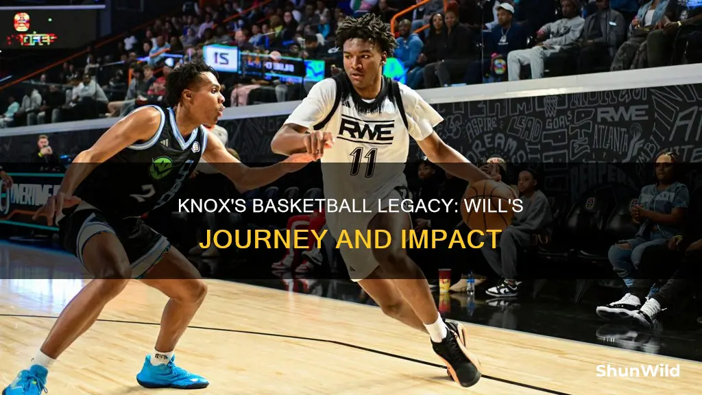 will knox basketball