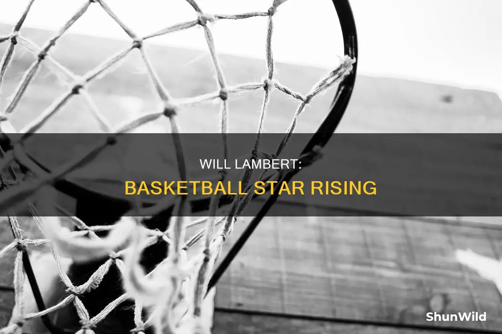 will lambert basketball