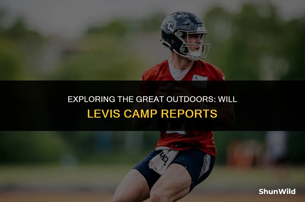 will levis camp reports