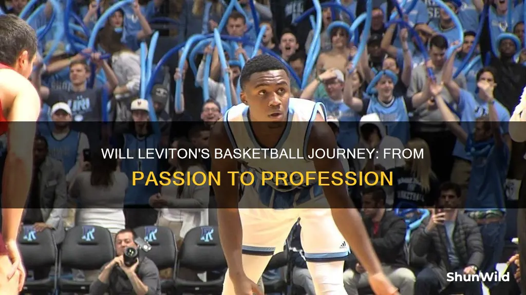 will leviton basketball