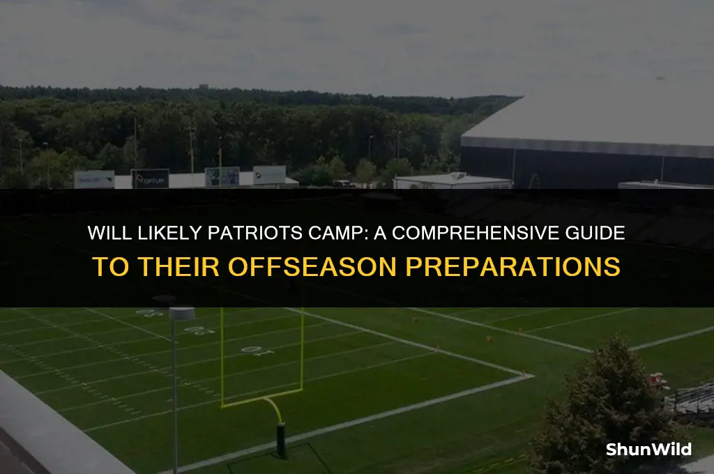 will likely patriots camp
