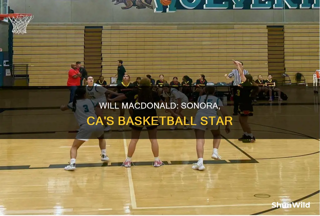 will macdonald sonora ca basketball