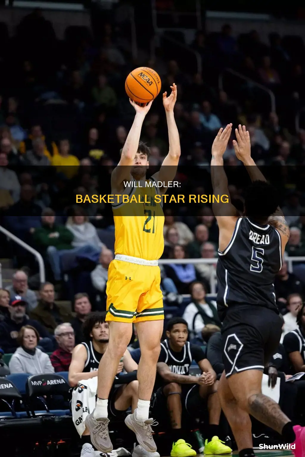 will madler basketball