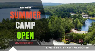 Maine Summer Camps Gear Up for a Fun-Filled Season Ahead!