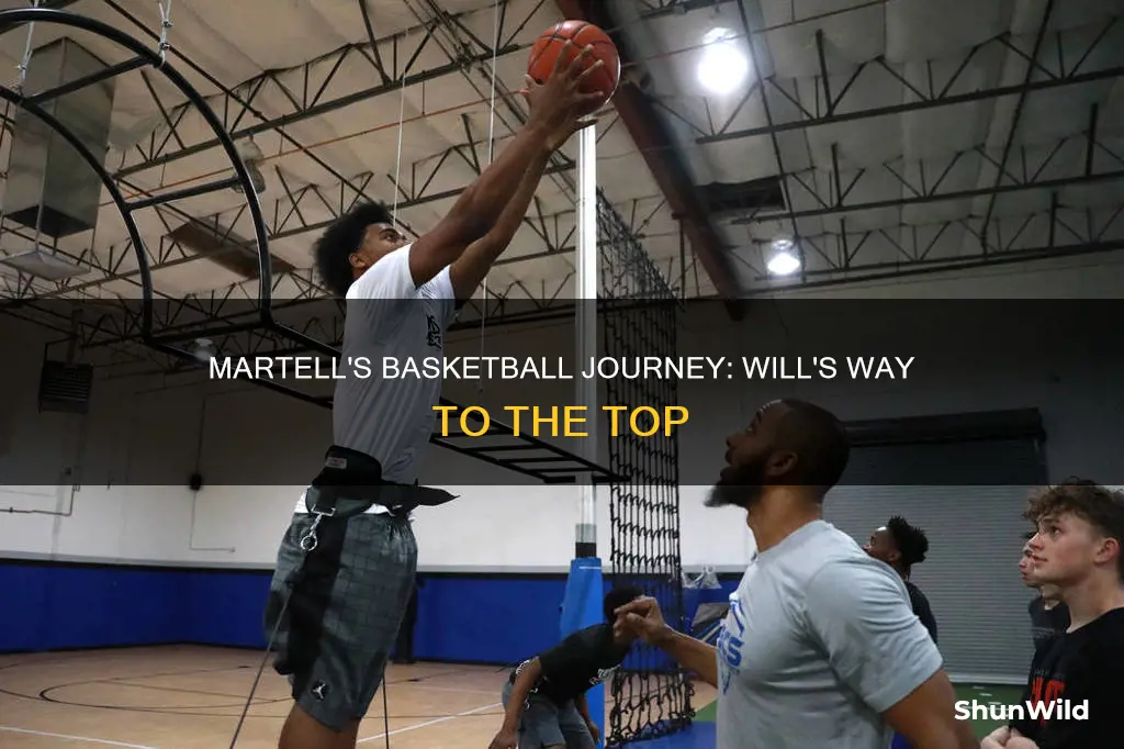 will martell basketball
