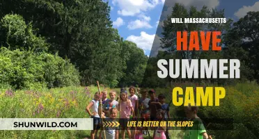 Summer Camp in Massachusetts: What to Expect in 2024
