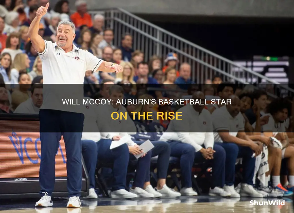 will mccoy auburn basketball