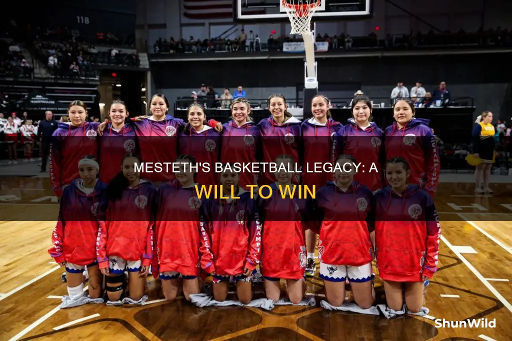 will mesteth basketball