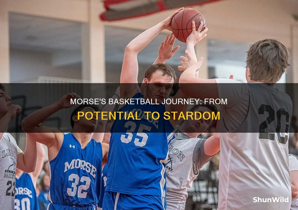 will morse basketball