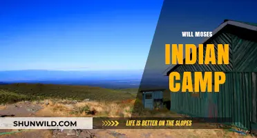 Exploring the Legacy of Will Moses Indian Camp: A Journey Through History
