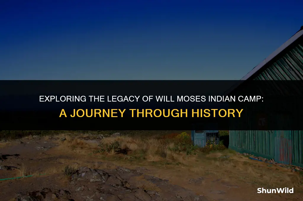 will moses indian camp