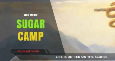 Exploring the Sweet Traditions of Moses Sugar Camp