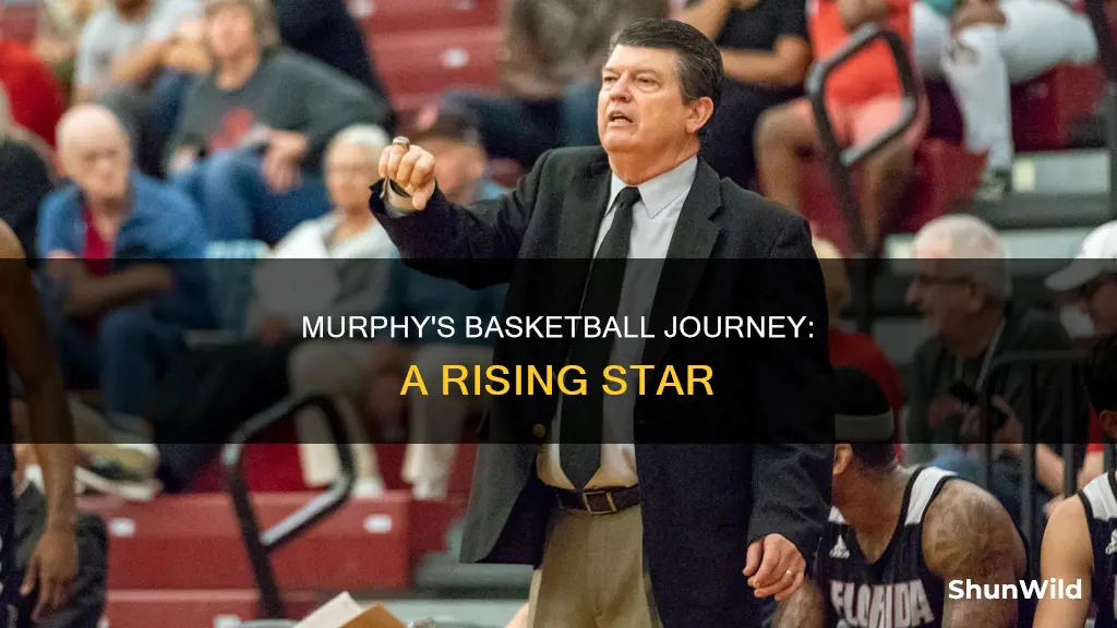 will murphy basketball