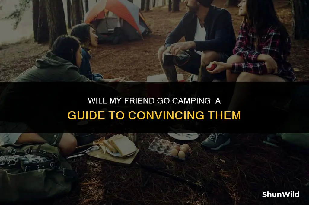 will my freind go camping